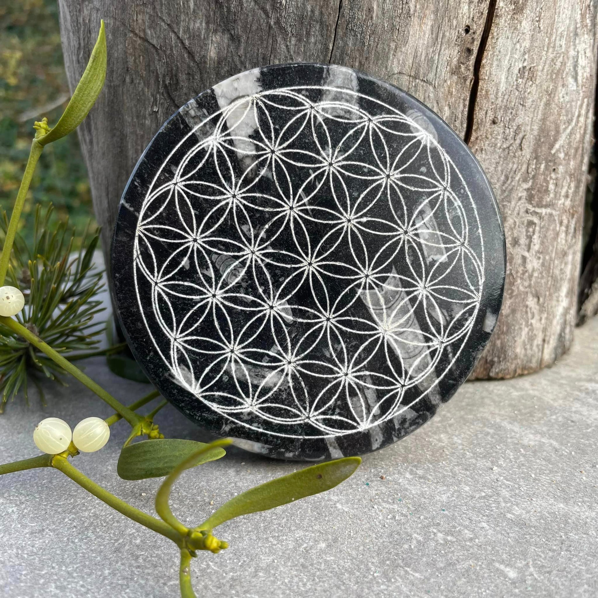 Orthoceras-Scheibe "Blume des Lebens"