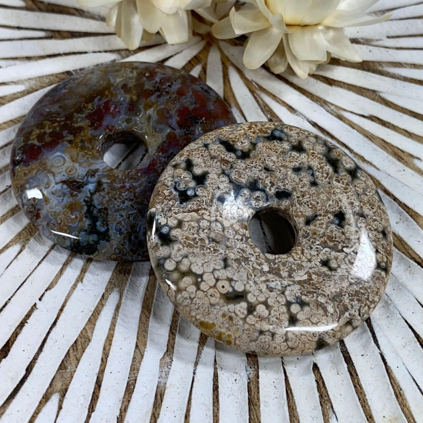 OZEANJASPIS - Donut