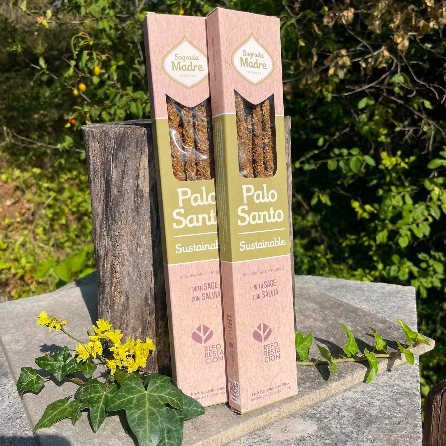 Palo Santo & Weißer Salbei Räucherstäbchen von Sagrada Madre – reinigend & schützend, 8 Stäbchen, 45 Min. Brenndauer | WUNDERSTEIN

