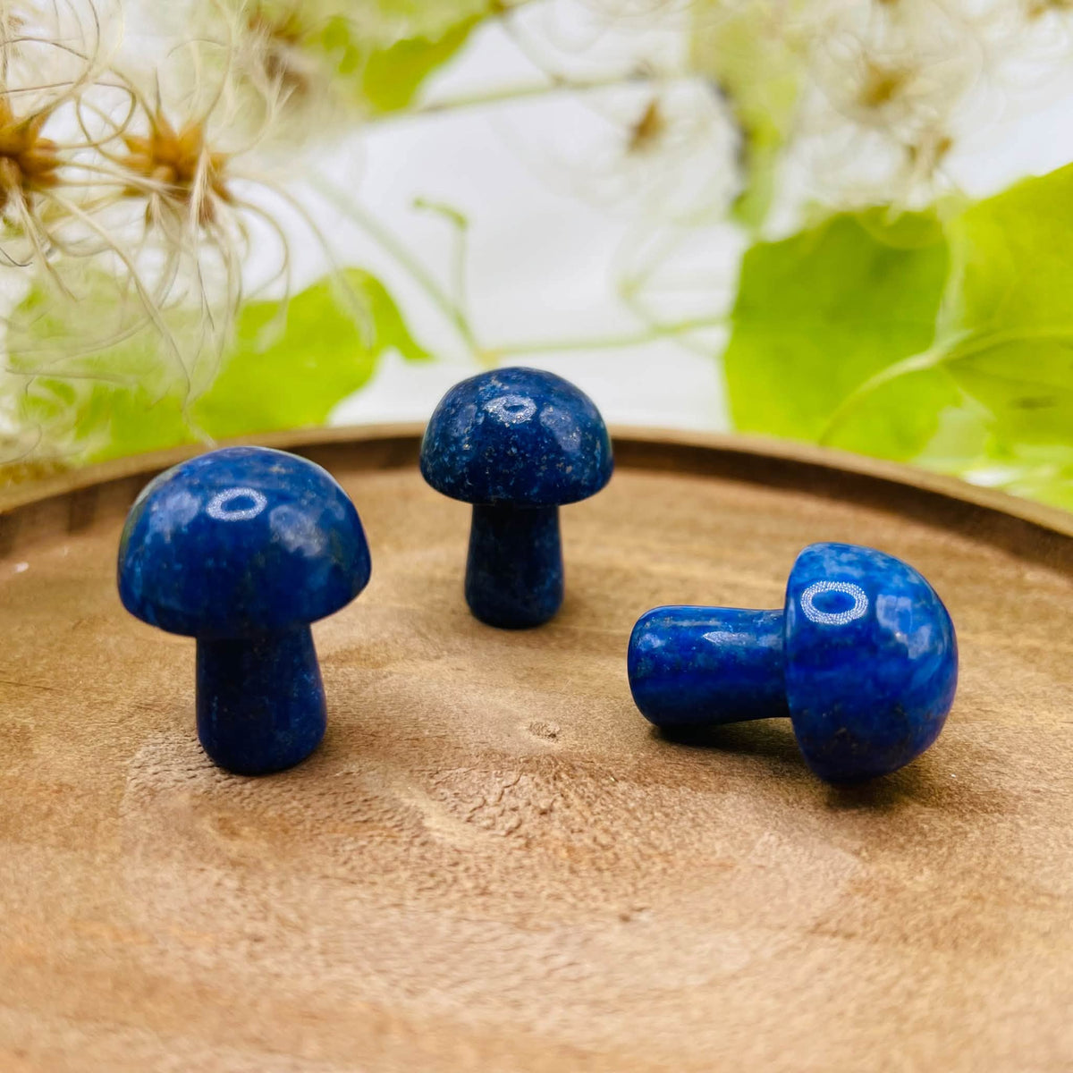 Glückspilz Lapislazuli – Maße ca. 21x25mm – Unikat von WUNDERSTEIN
