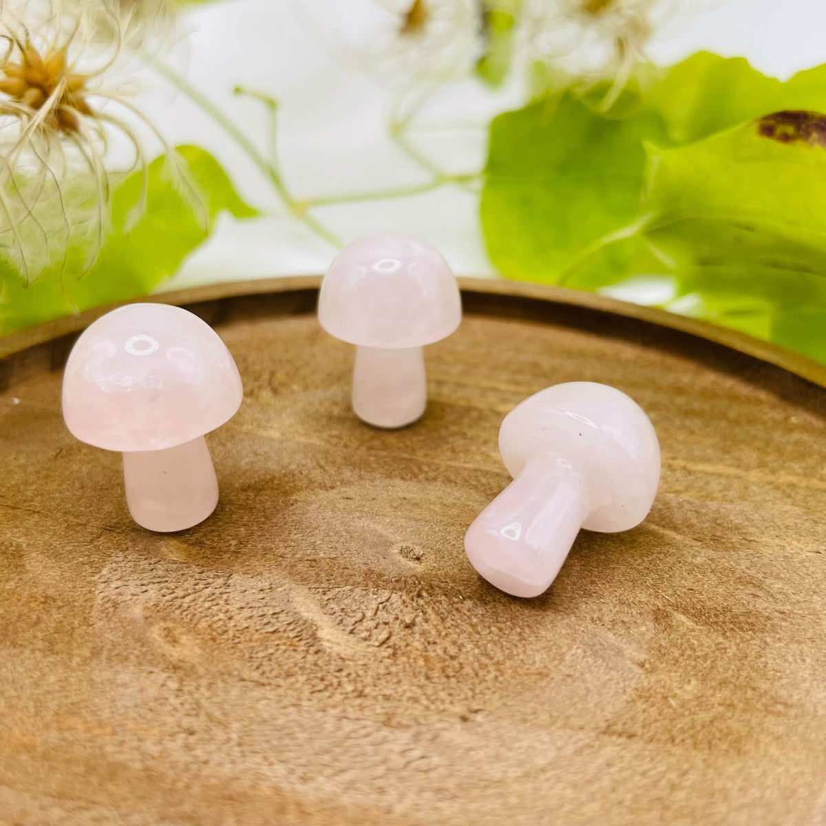 Glückspilz Rosenquarz – Maße ca.  21x25mm – Unikat von WUNDERSTEIN

