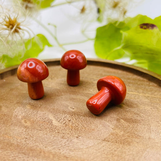 Glückspilz Roter Jaspis – Maße ca. 21x25mm – Unikat von WUNDERSTEIN
