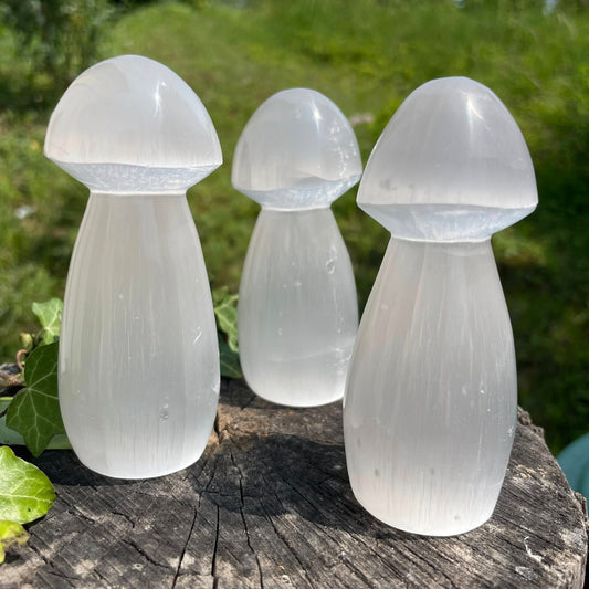 Selenit-Pilz