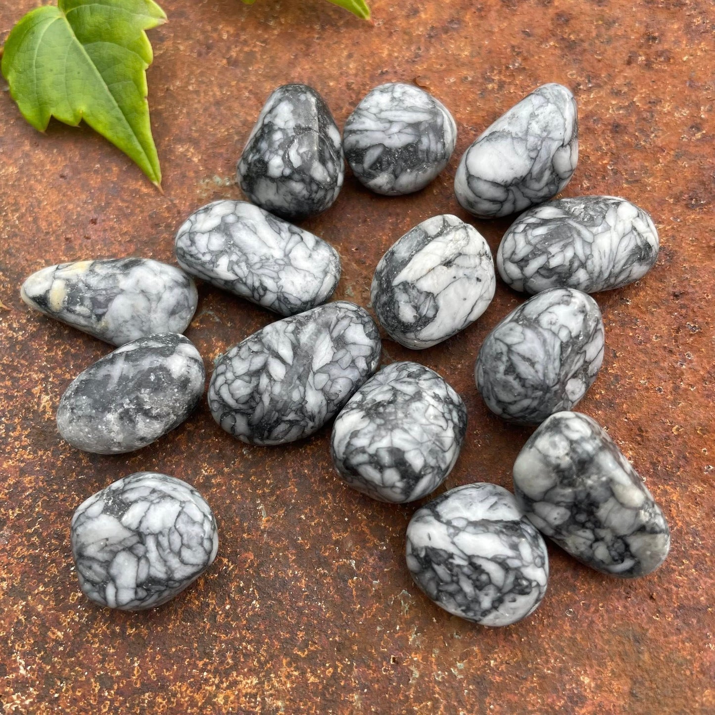 Pinolithmagnesit