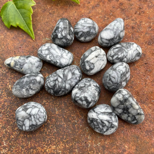 Pinolithmagnesit