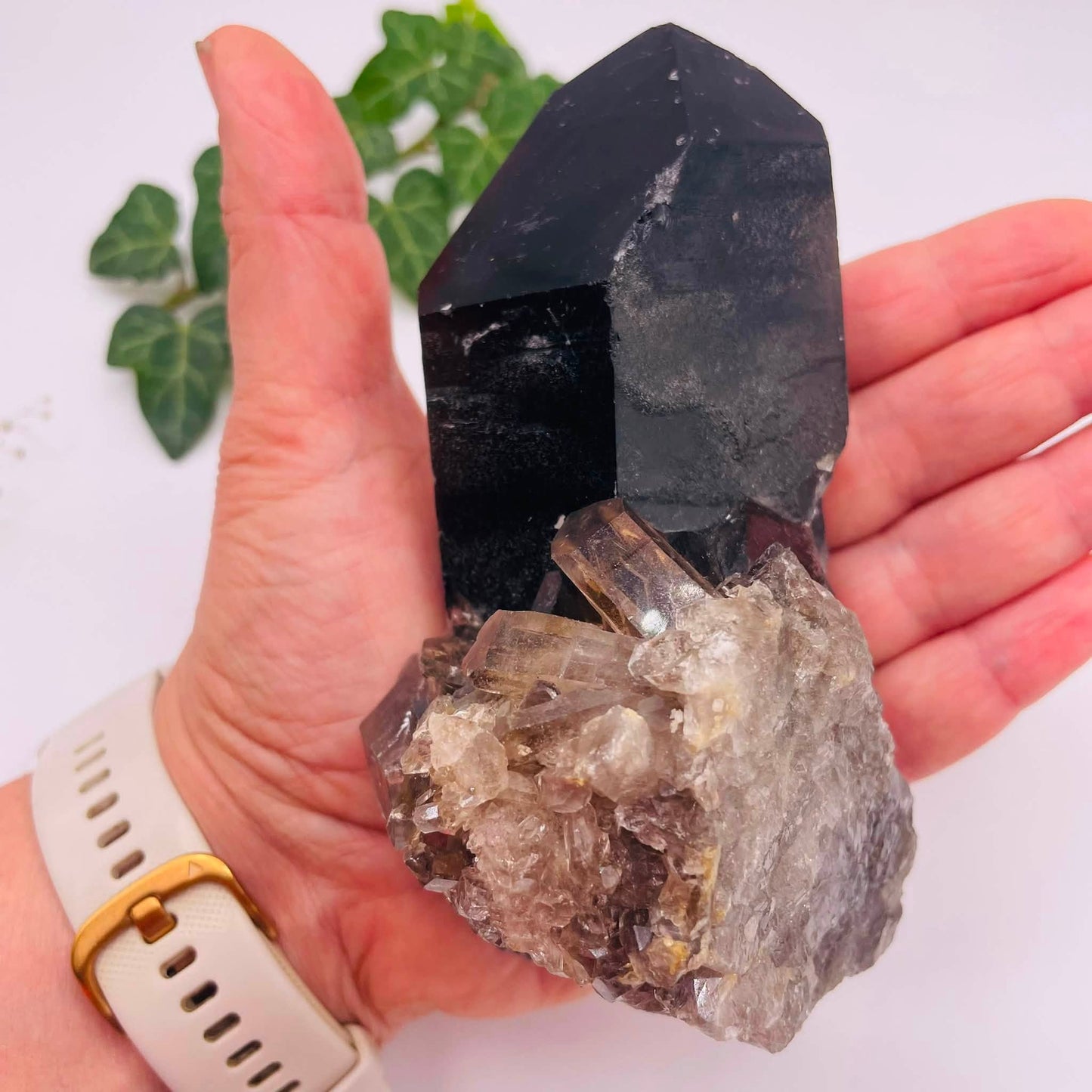 Rauchquarz-Stufe Nahaufnahme – transparente Kristallspitzen mit erdiger Rauchfärbung, Einzelstück
