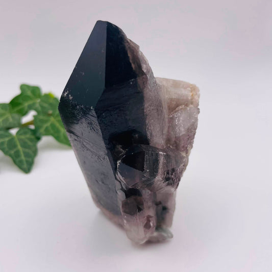 Rauchquarz-Stufe Nr. 11 – Natürlicher Kraftstein, rauchbraun, 5 × 4 × 10 cm, Unikat von WUNDERSTEIN
