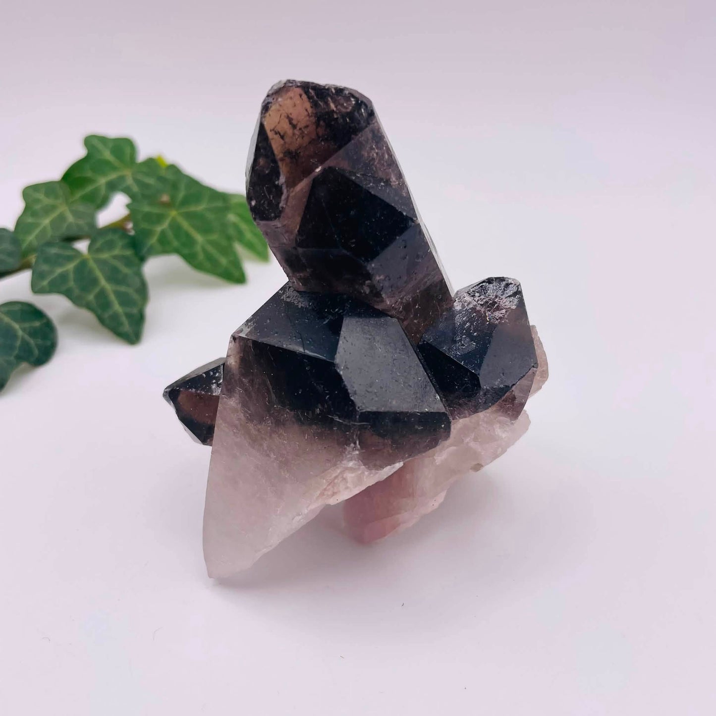 Rauchquarz-Stufe Nr. 5 – Natürlicher Kraftstein, rauchbraun, 7 × 5 × 8 cm, Unikat von WUNDERSTEIN
