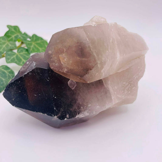 Rauchquarz-Stufe Nr. 7 – Natürlicher Kraftstein, rauchbraun, 7 × 6 × 12 cm, Unikat von WUNDERSTEIN
