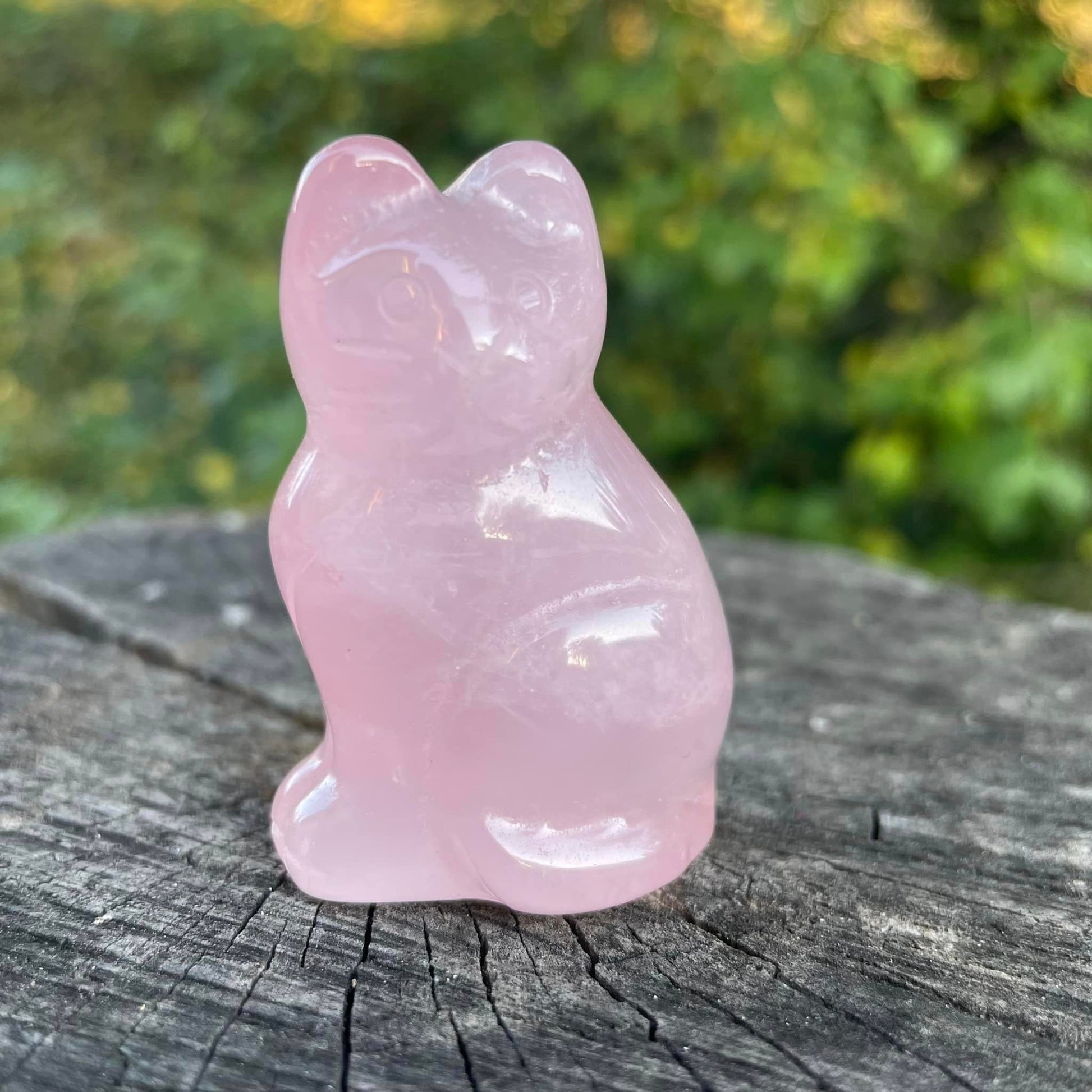 Edelstein-Katzen 50mm - Rosenquarz