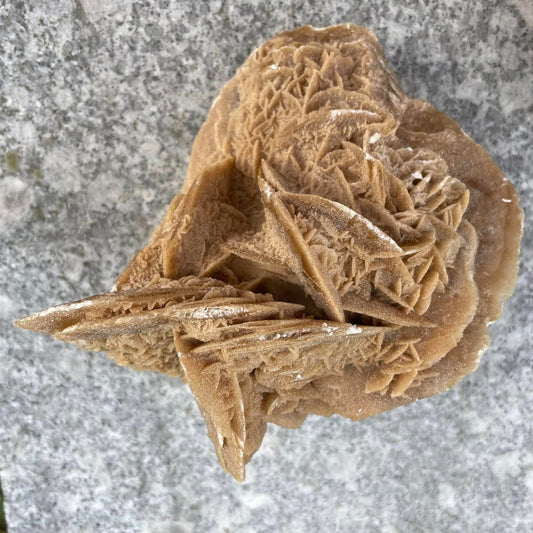 SANDROSE