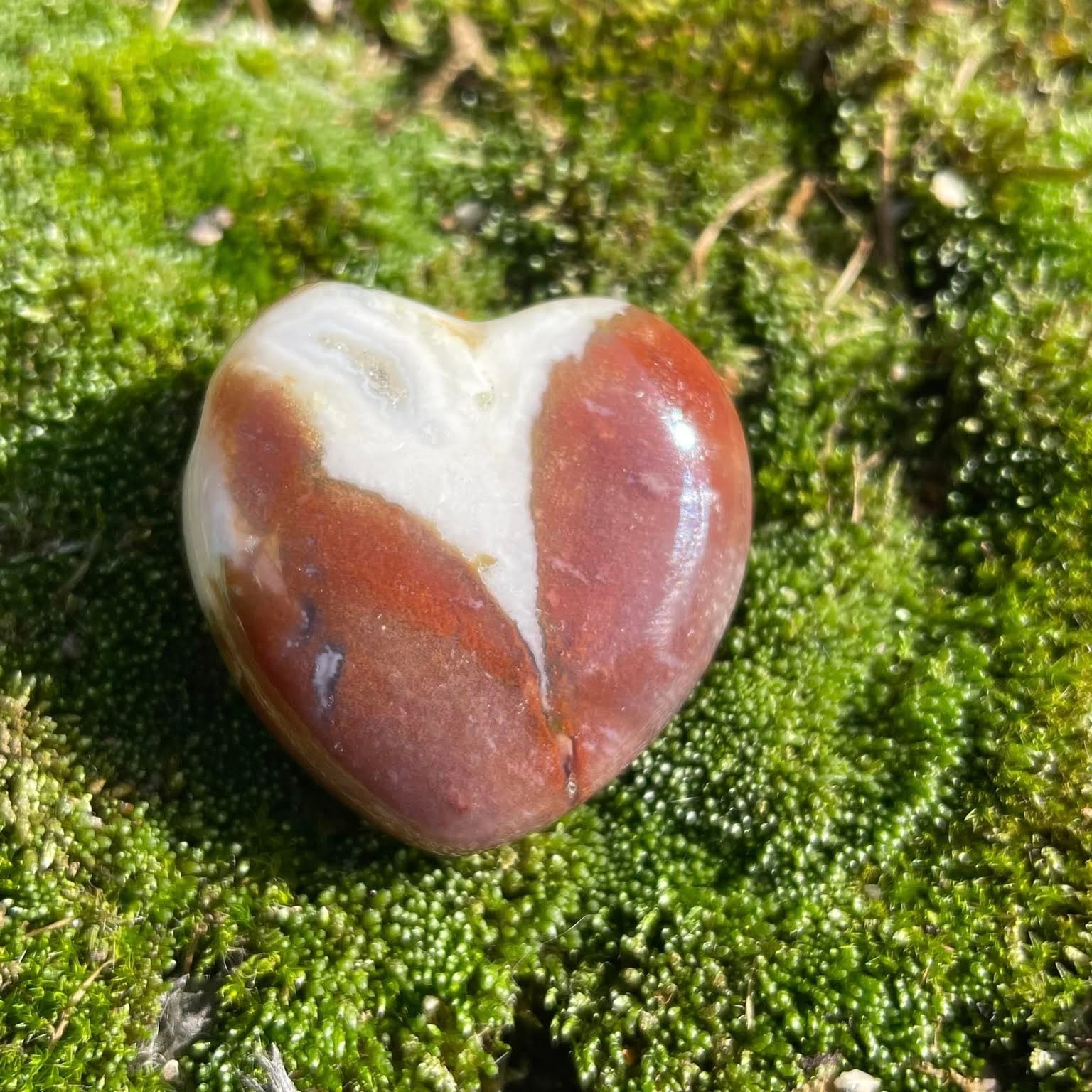 SARDONYX - Herz gebohrt 30mm
