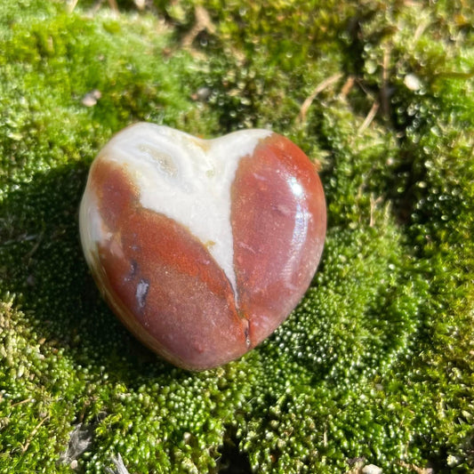 SARDONYX - Herz gebohrt 30mm
