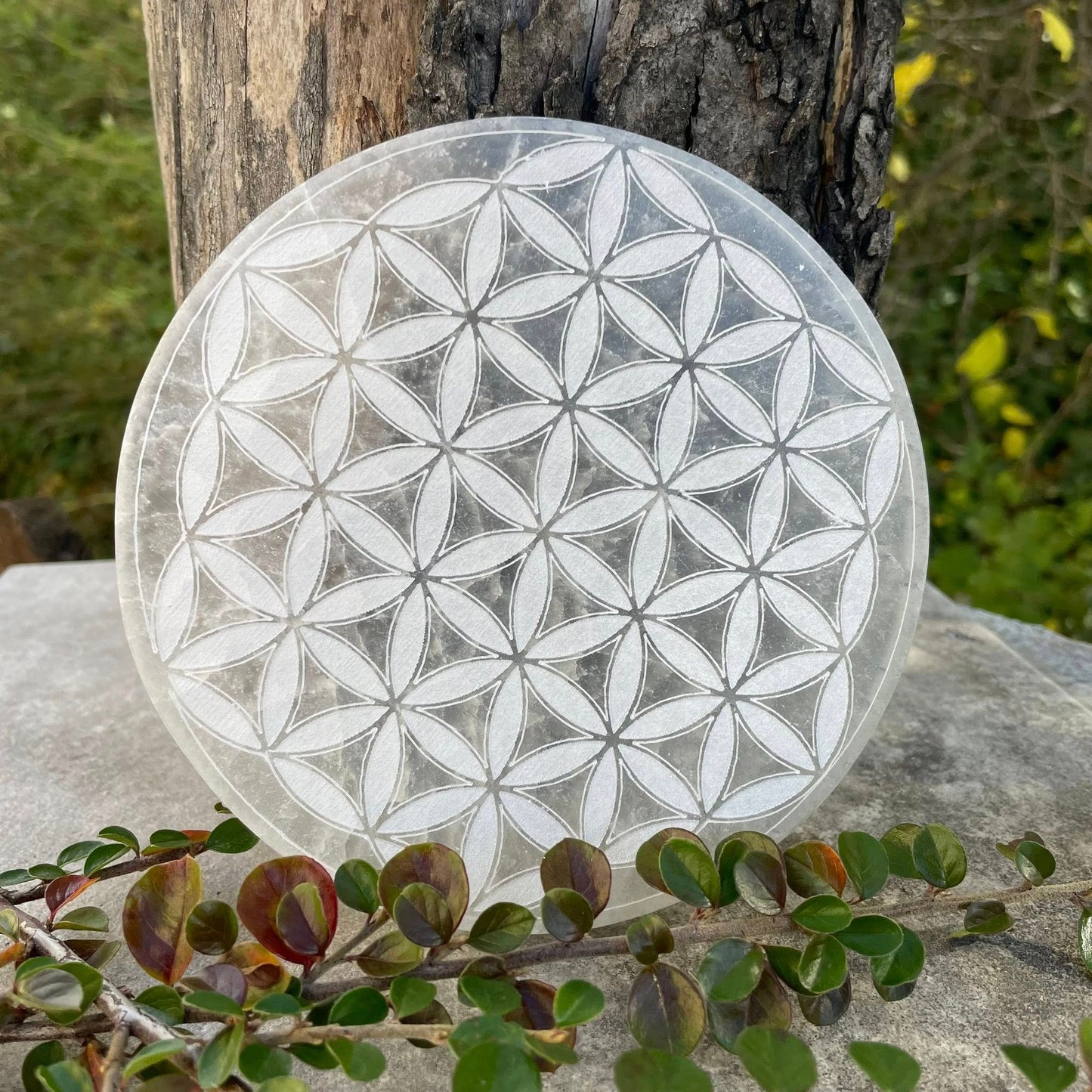 XL-Selenit-Ladeplatte "BLUME DES LEBENS"