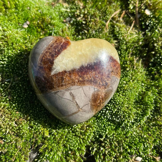SEPTARIE - Herz gebohrt 30mm