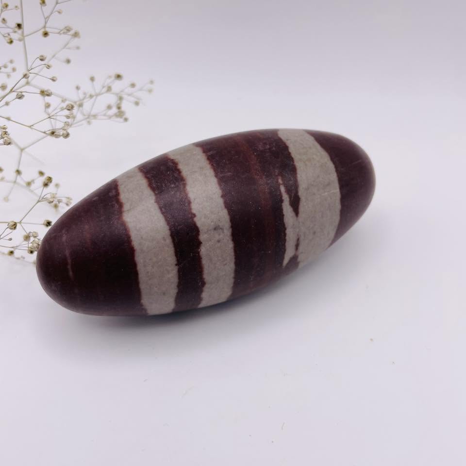 Shiva Lingam Nr. 5 – natürliche Maserung und ovale Form, Narmada-Fluss Indien | WUNDERSTEIN
