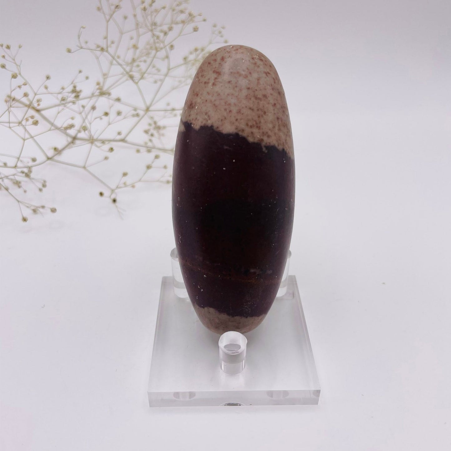 Shiva Lingam Unikat Nr. 6 – Kraftstein aus dem Narmada-Fluss, ca. 9×4×4 cm, Vorderansicht | WUNDERSTEIN