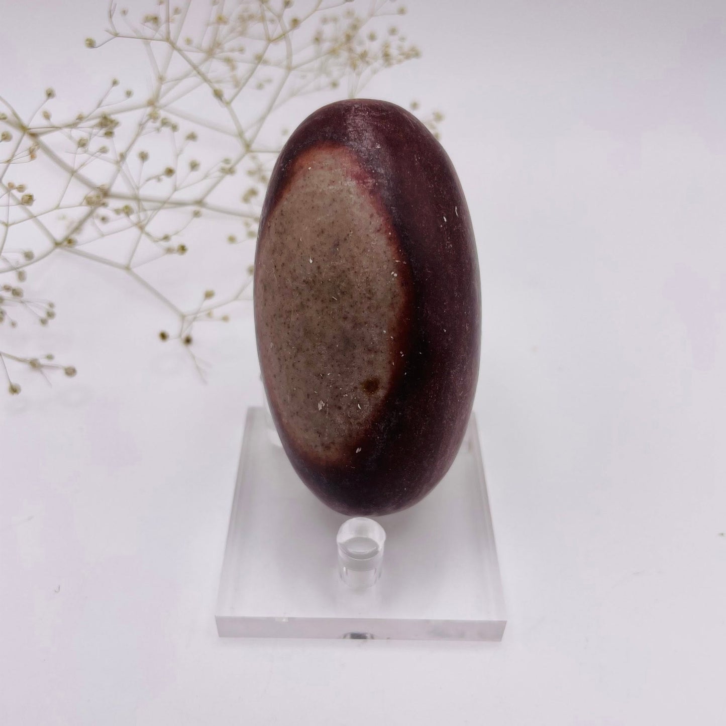 Shiva Lingam Unikat Nr. 8 – Kraftstein aus dem Narmada-Fluss, ca. 7×4×4 cm, Vorderansicht | WUNDERSTEIN
