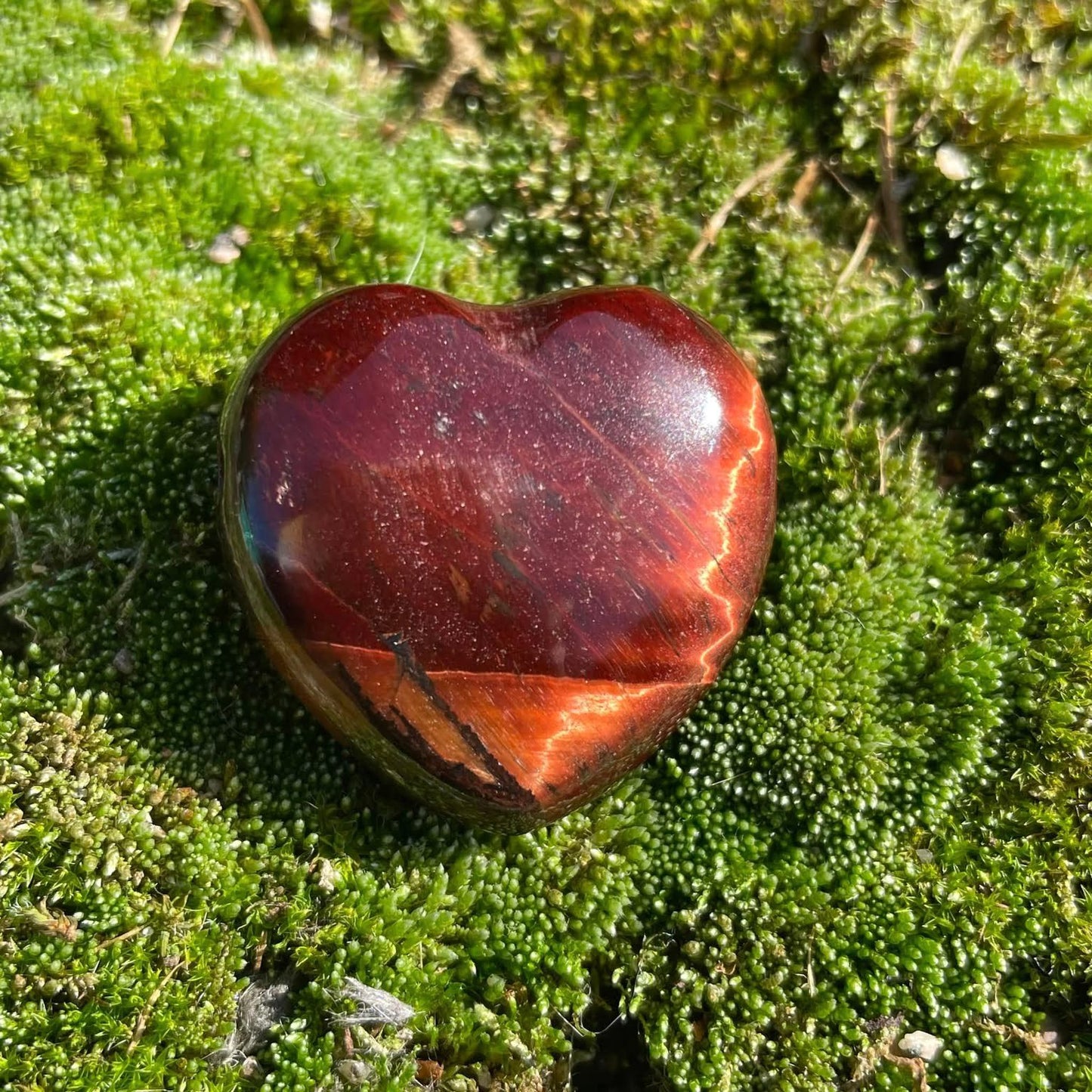 TIGERAUGE ROT - Herz gebohrt 30mm