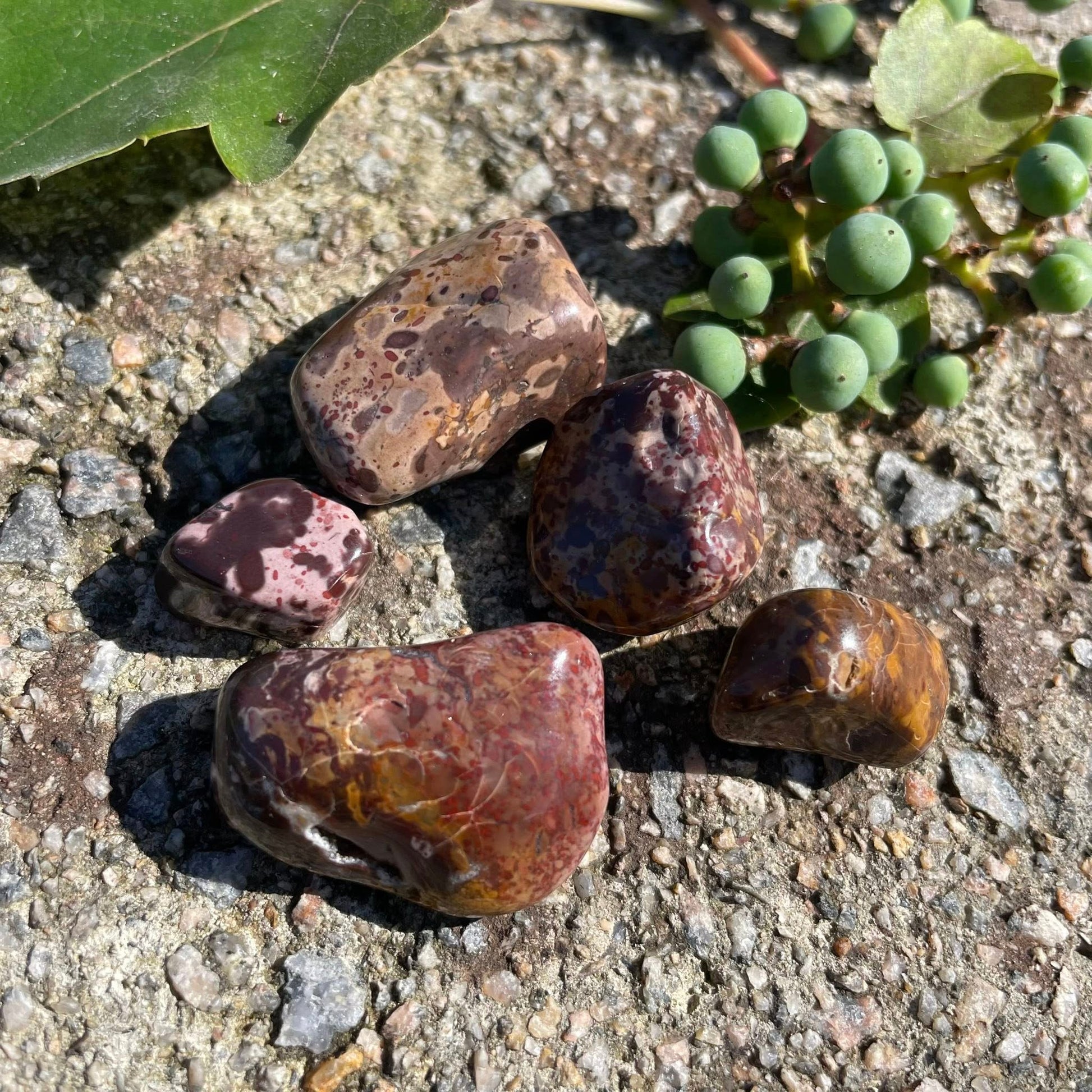 Trümmerjaspis