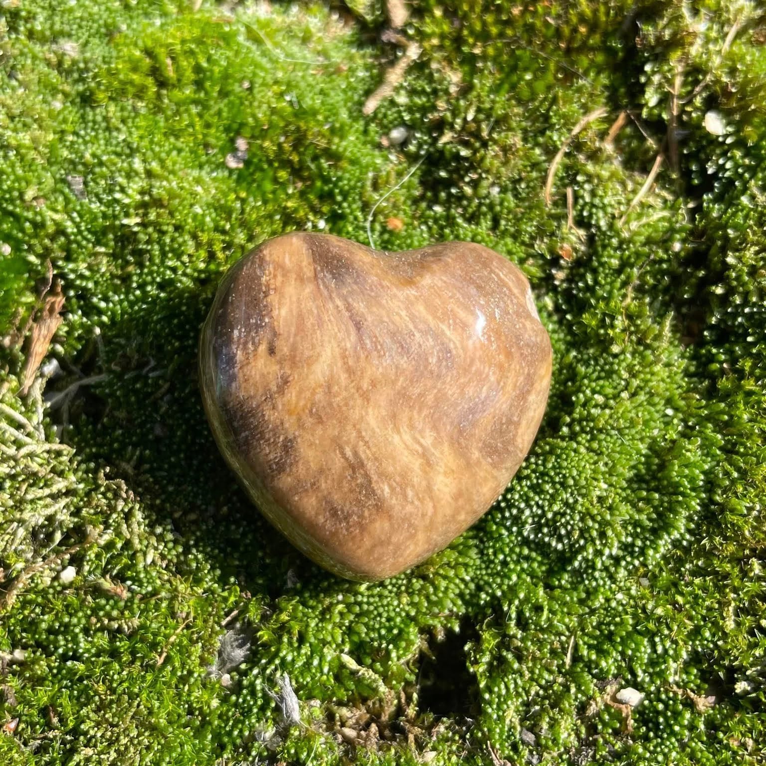 VERSTEINERTES HOLZ - Herz gebohrt 30mm