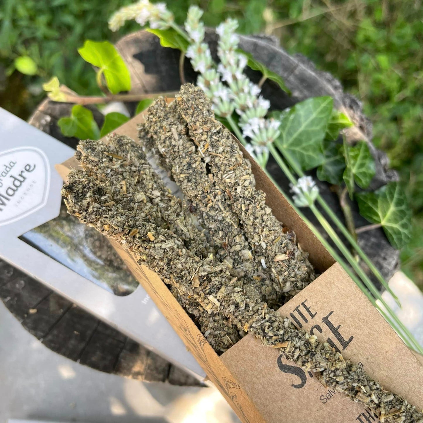 Detailansicht White Sage Räucherstäbchen – natürlicher weißer Salbei, handgefertigt – WUNDERSTEIN
