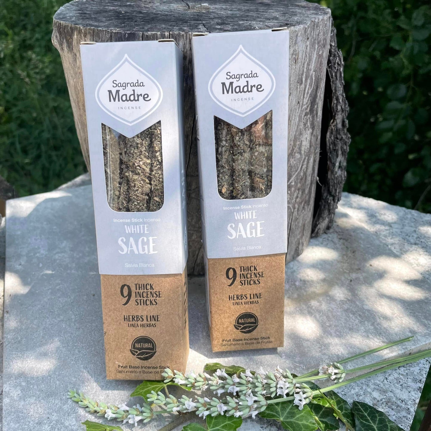 White Sage Räucherstäbchen – Weißer Salbei von Sagrada Madre, 8 Stäbchen – WUNDERSTEIN