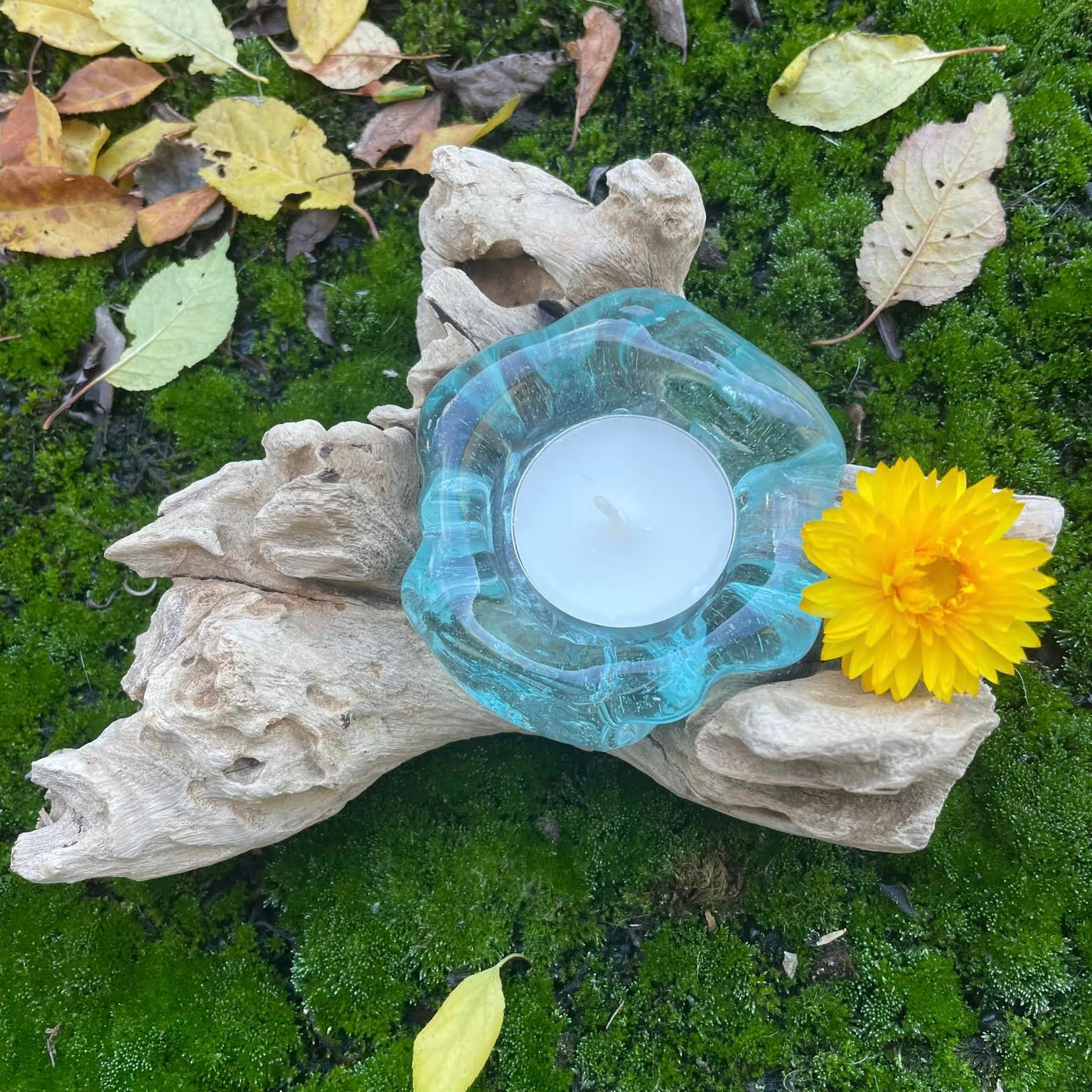 Teelichthalter auf Wurzelholz 1-flammig