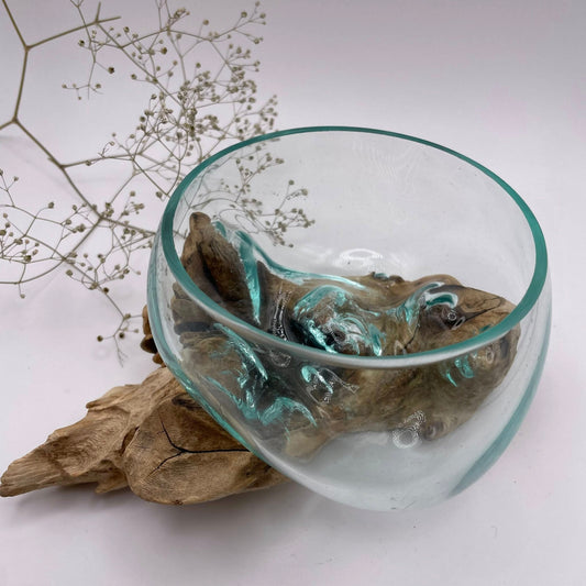 Glasschale auf Kaffeestrauch-Wurzelholz Unikat Nr. 4 – handgefertigt, 16×16×10 cm – WUNDERSTEIN