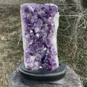 Amethystdrusenstück auf Holz