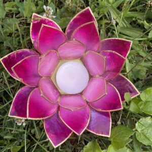 LOTUS-BLÜTE ROSA