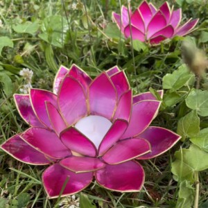 LOTUS-BLÜTE ROSA