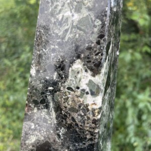 Obelisk mit Fossilen Wasserpflanzen