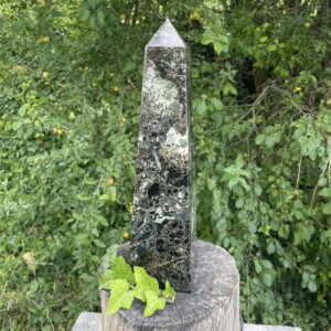 Obelisk mit Fossilen Wasserpflanzen